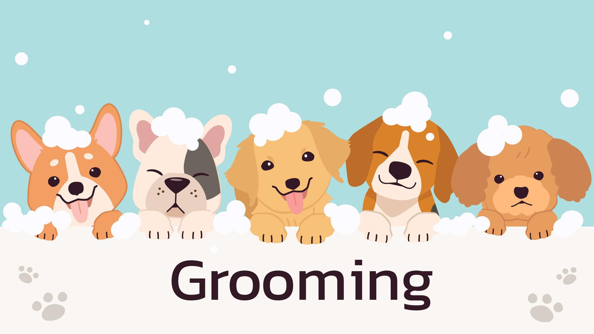 Petgrooming3